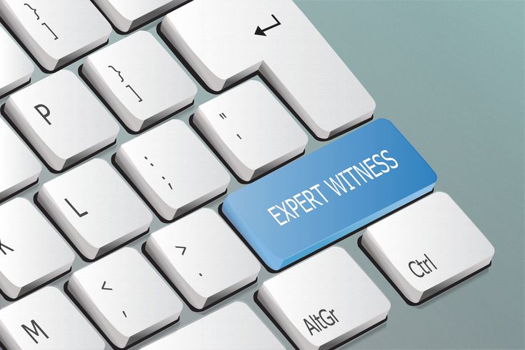 Expert Witness Expert Witness